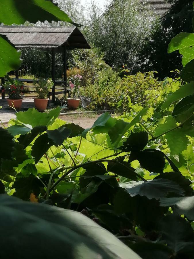 La Posada Hotel Ambierle Екстериор снимка